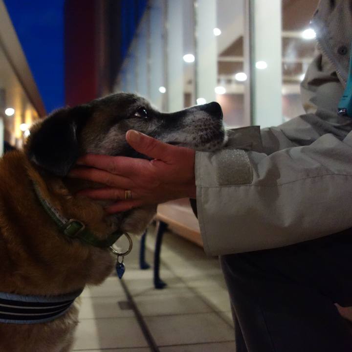 A9e842b6 d93a 402f add3 b16482db4a3f 1557141148205