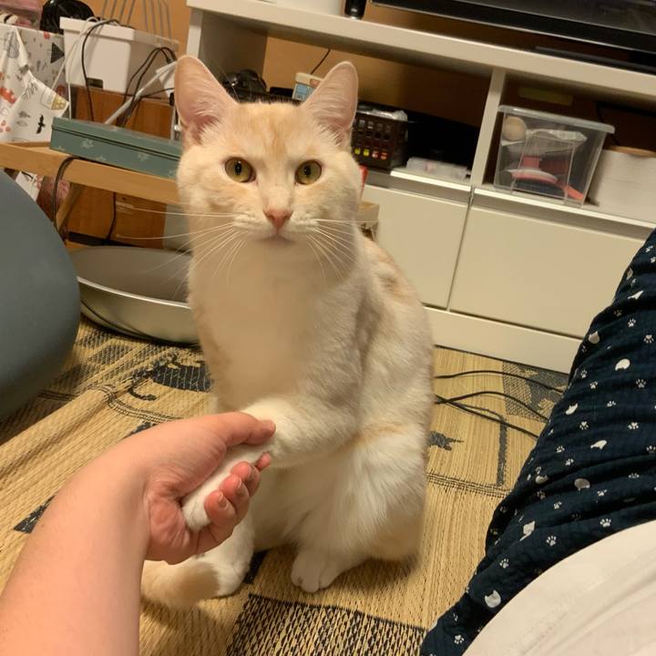 A9e85640 8c58 400b bb35 7f72c5398c1b 1661604056076