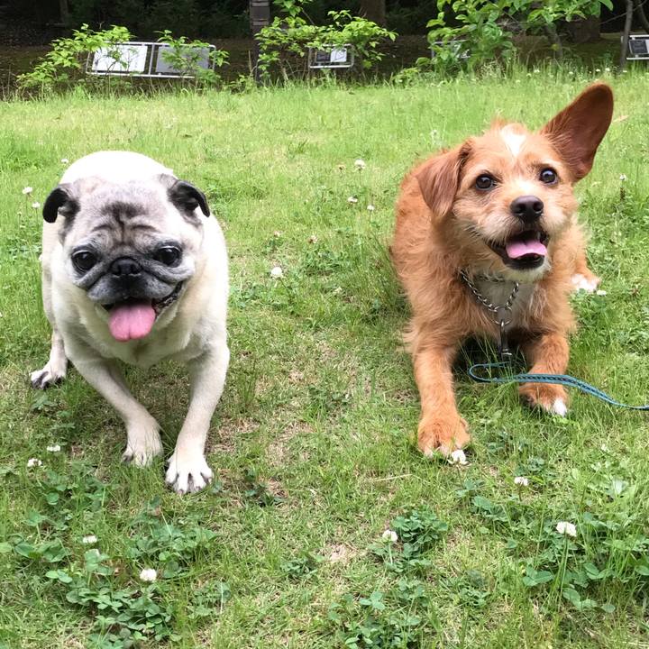 A9e86fd2 b7af 410a 9e3f 1b370b78652a 1591188805976