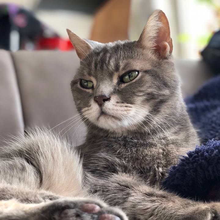 A9e8968c 8012 49cd 87b5 4011ab9ba016 1551514588662