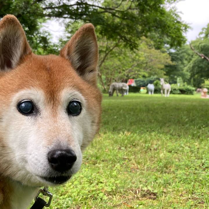 A9e89b62 ba32 4e02 95f6 a8be0524e139 1749802472982