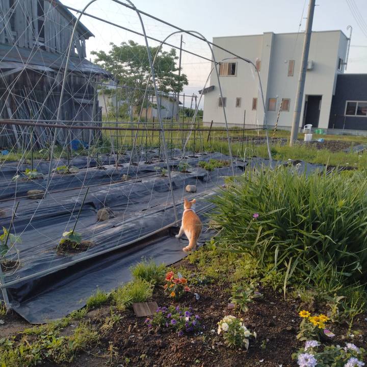 A9e8adcb 4486 42b4 9fad 7b9fe7be4518 1747968378343