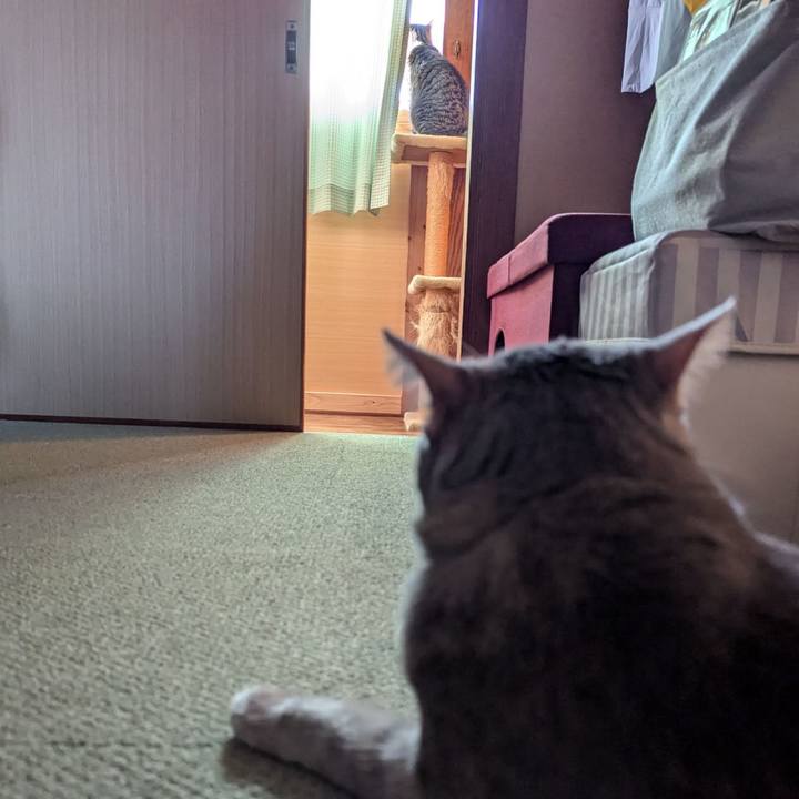 A9e8bf50 0059 4c99 9324 73e8d61eced8 1722686797818