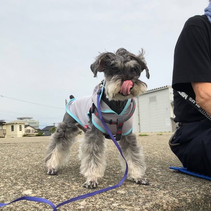 A9e8bfb8 d990 4b48 a511 a4bbac669900 1686446969074