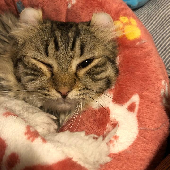 A9e9aae1 92e4 4f98 afed 162d7ffeadf0 1529249097997