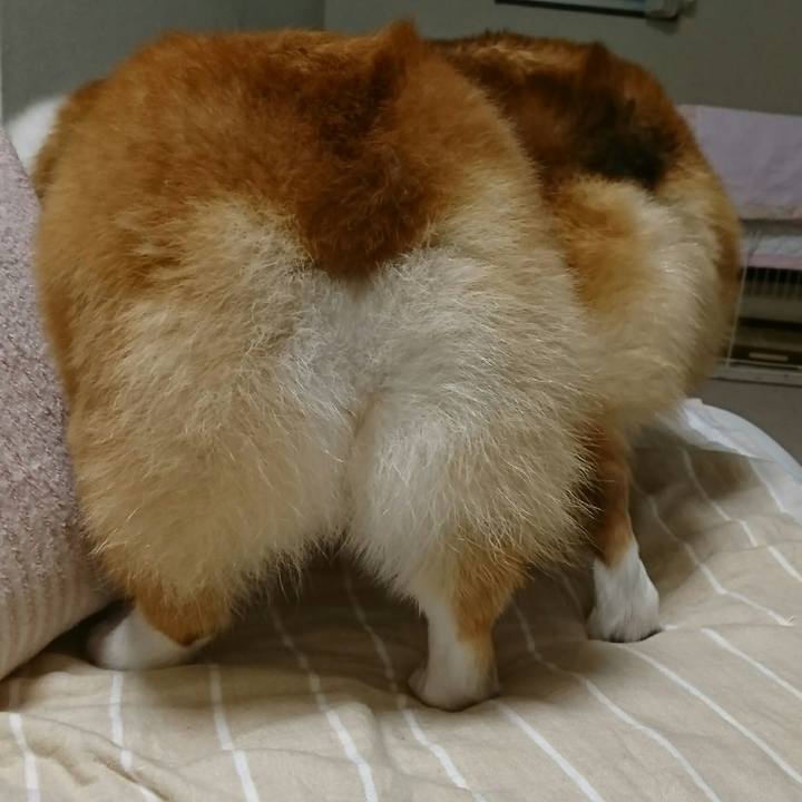 A9e9e020 eae0 45d3 abaf cf7ae336581e 1509344539875