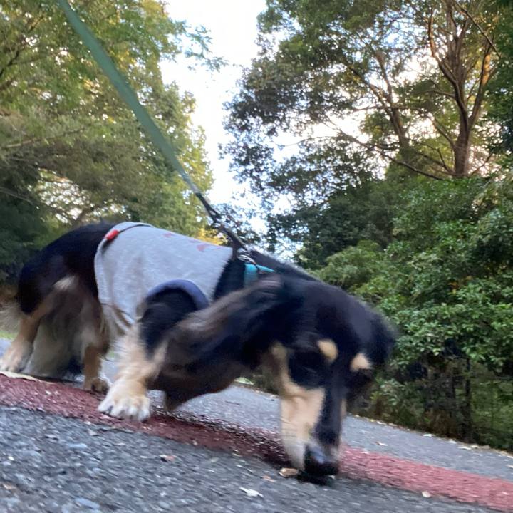 A9ea0024 39a6 4abd bf14 f616c92dec13 1698017655786