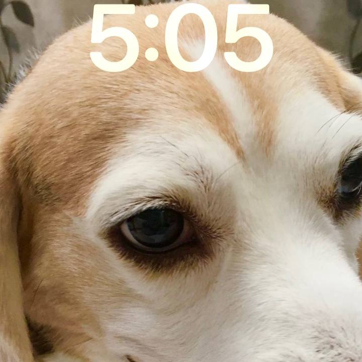 A9ea0ae8 7c87 4c13 9fc4 63584f1f9e9a 1689206767509