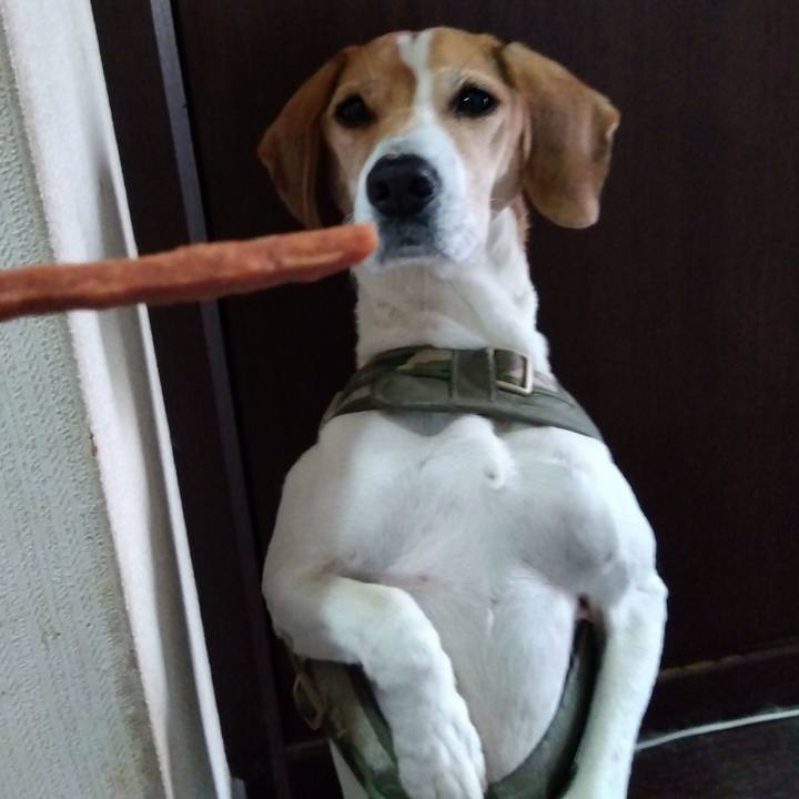 A9ea1e41 d44f 4fcf 9213 0e569c29edf0 1674724988423