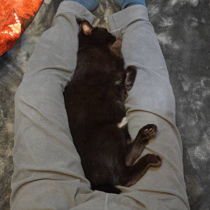 A9ea426e f4d9 4c02 89e6 f05fd909852f 1602940281315