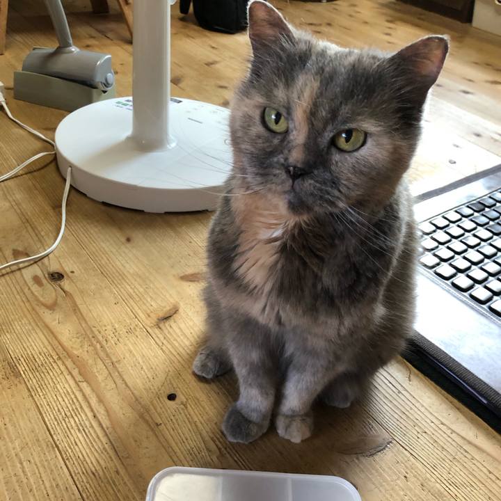 A9ea5f3c 1268 4e9c 9312 0f936f13821f 1751717559241