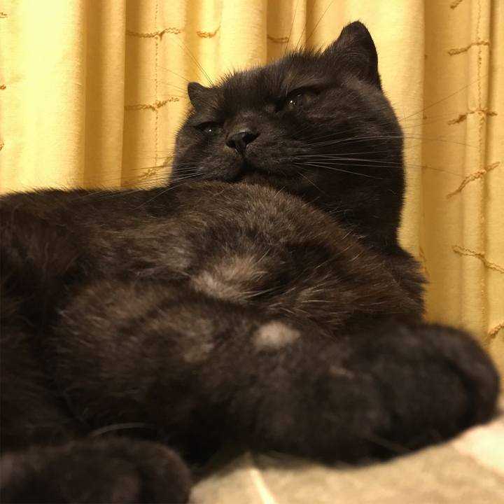 A9ea65f5 0360 4896 bb96 d8bf188ee210 1531830310803