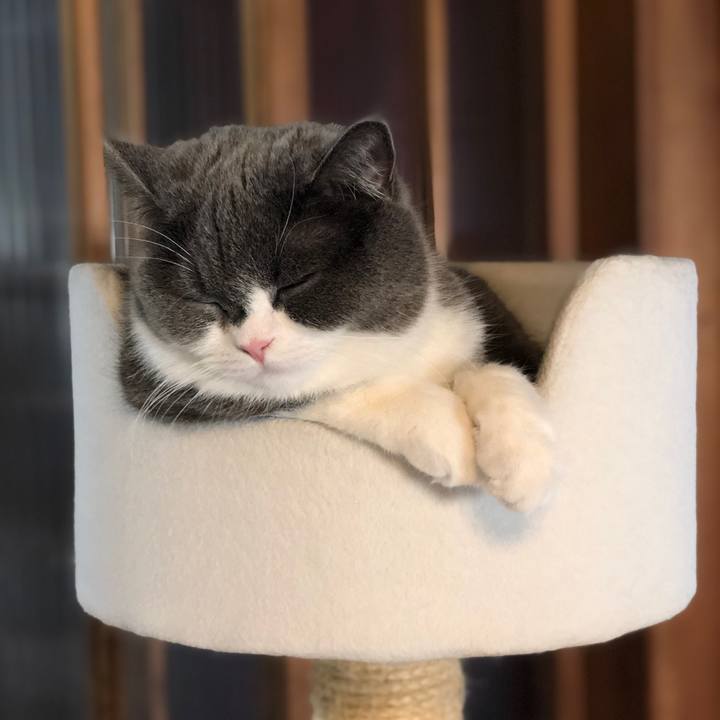 A9ea69db ece1 40a0 aa26 9f00f2243c5f 1556627931402