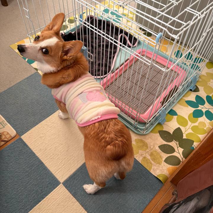 A9ea7820 ab13 4810 98d3 c0f3b2a5a303 1767941904509