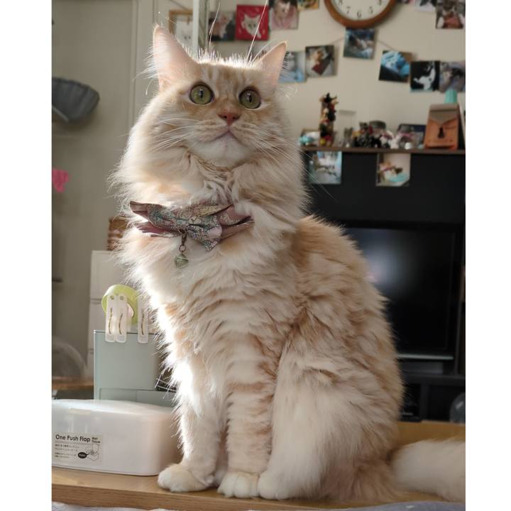 A9eaa23e d472 4ab3 88d3 68151331a40a 1738747246164