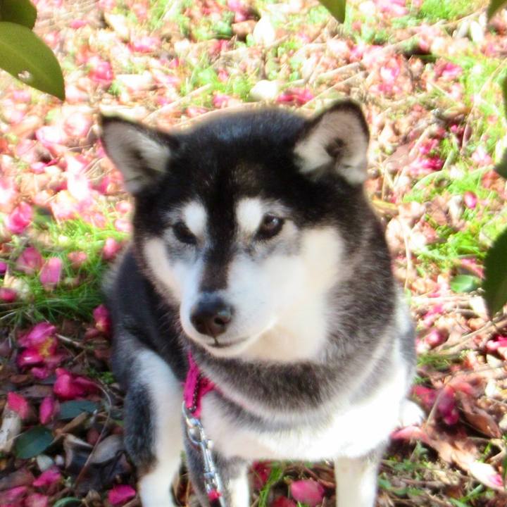 A9eb0450 f154 4cdb 96d4 cba16625a3e3 1739233432965