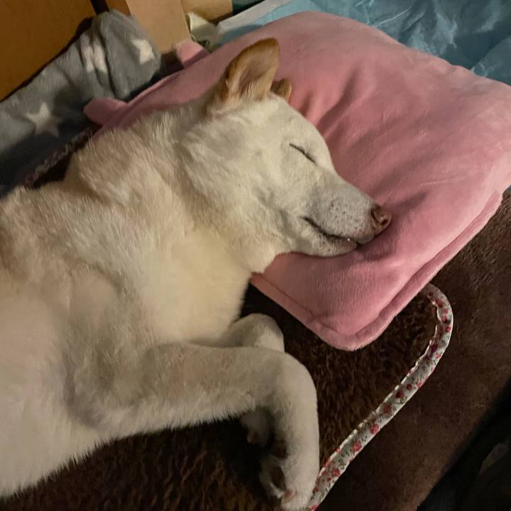 A9eb0d23 92a1 4ea8 8c06 d61a240fe612 1642896945404