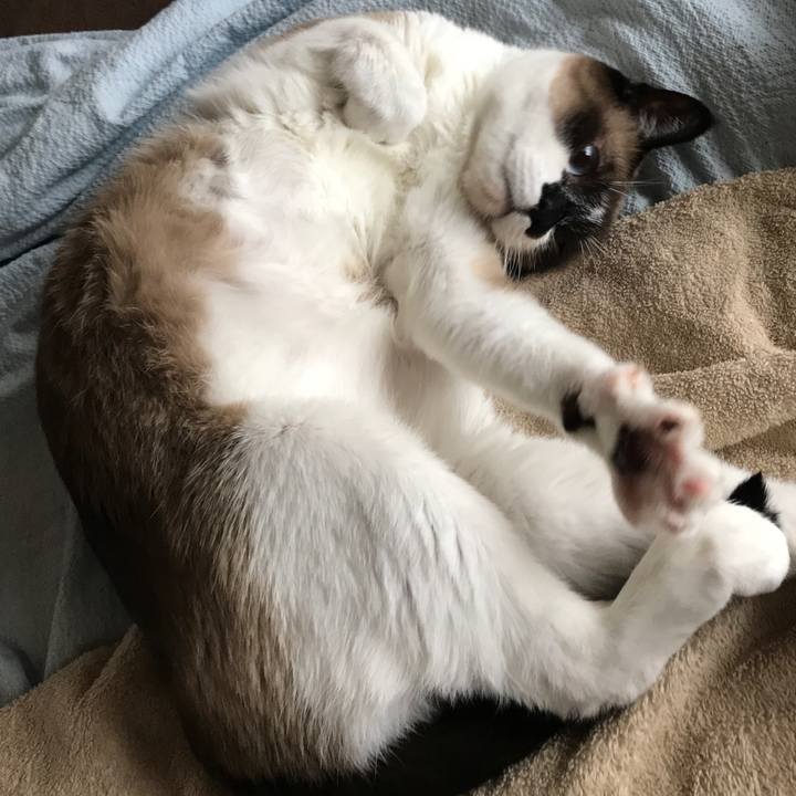 A9eb1466 1d04 4ca4 85bd 0057b1acc3f1 1553210240932