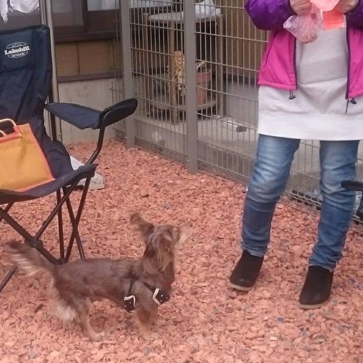 A9eb33d7 51bd 4f87 b879 8f895d3f2beb 1519451542543