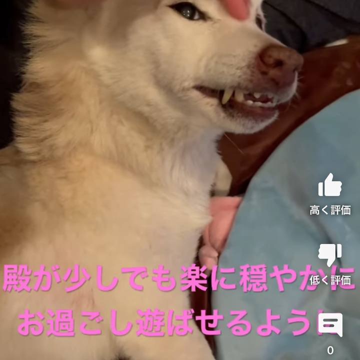 A9eb64ce b59a 44aa 9375 9bc411fb3ac5 1678829457205