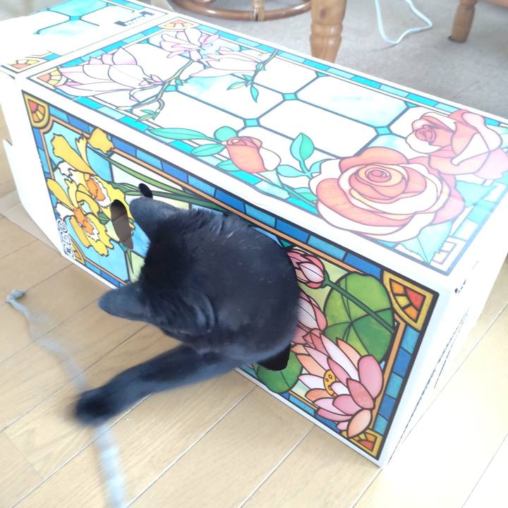 A9eb6da5 b89e 4e1c 9bcd 9e8f13b9972c 1651710726635