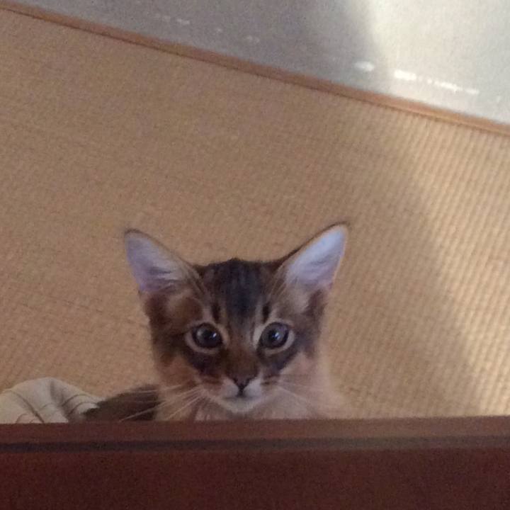 A9ebf71f beef 4b09 98ac b789d3988e19 1574292504932