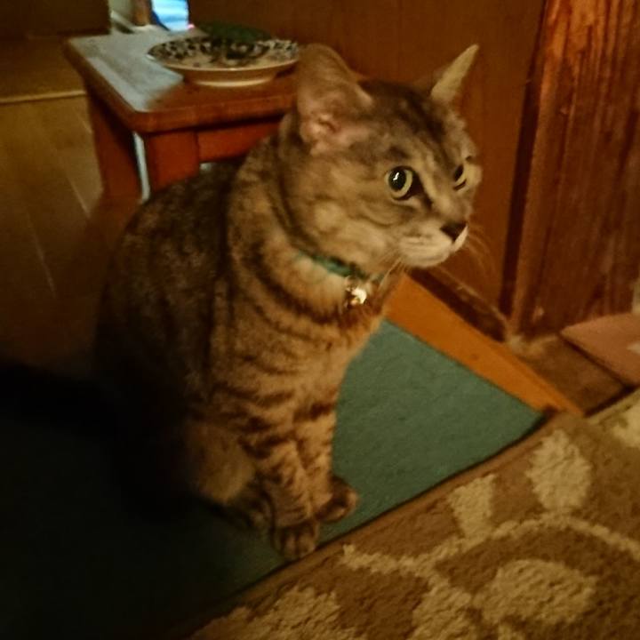 A9ec24a2 2d10 46ef aa48 cfb9d3f892be 1563884011181