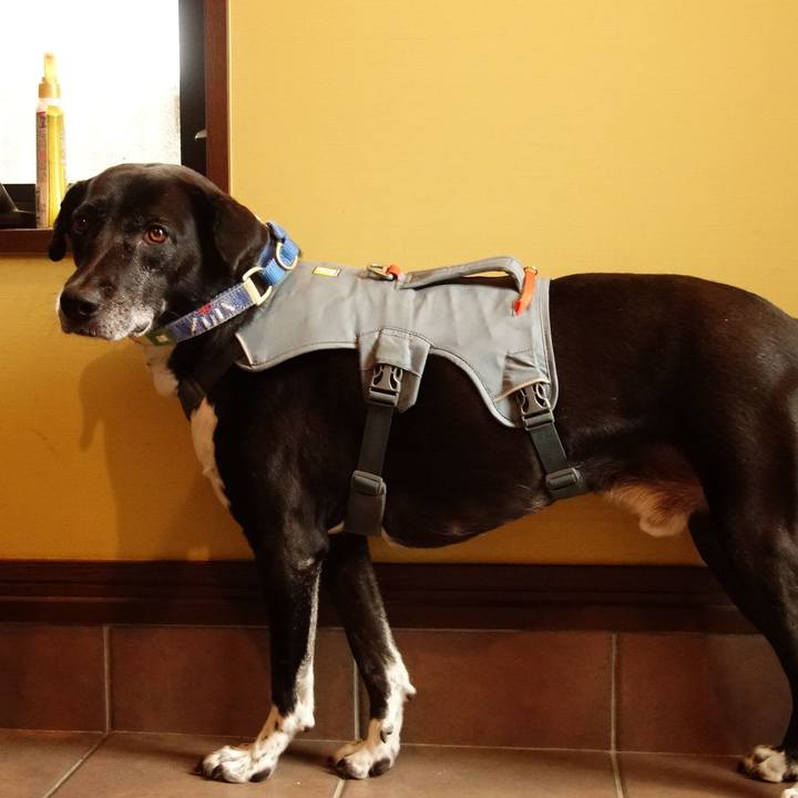 A9ec603f aa88 4c45 b209 621e57f29685 1724369367991