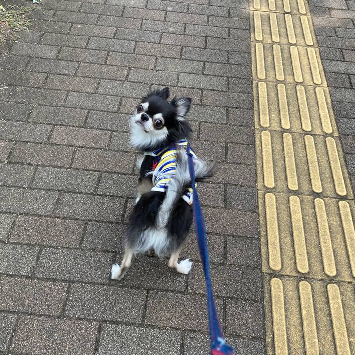 A9ec819f 326b 4779 bbdf 711320a9a962 1696776903573