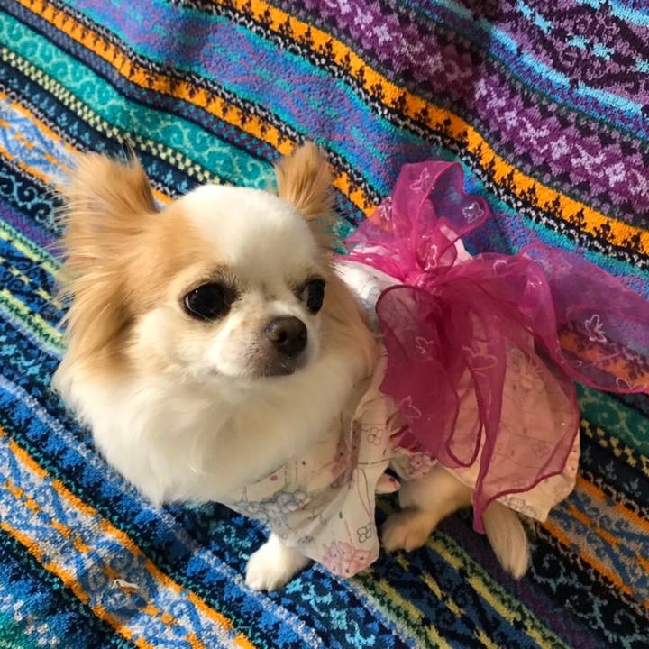 A9ecbda9 3783 47b5 b9ef 17333e06ace1 1573738630423