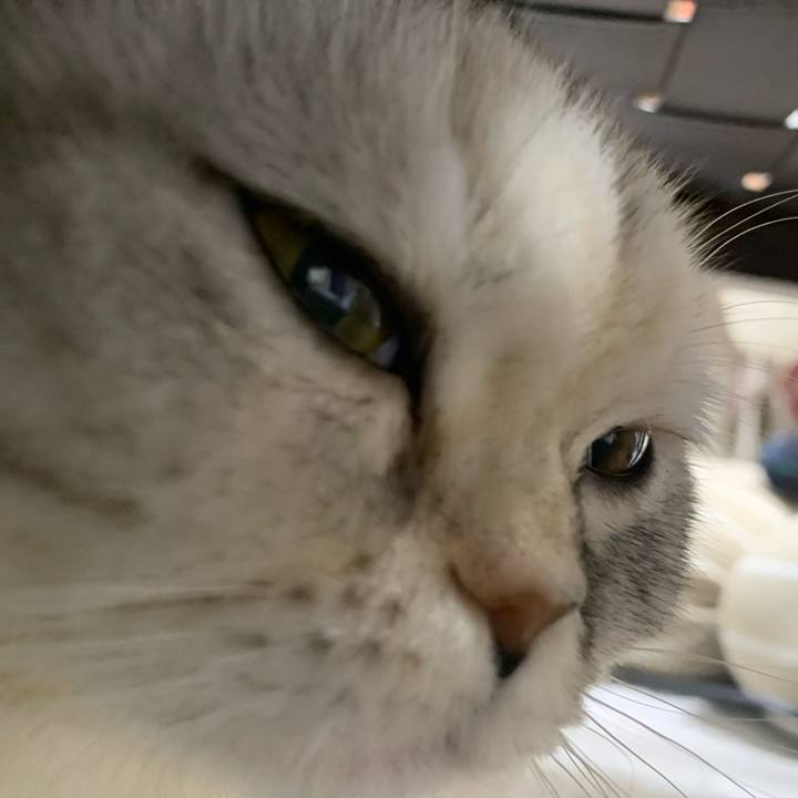 A9ecc65f d24a 4e31 871b 00e20098169c 1707047658534