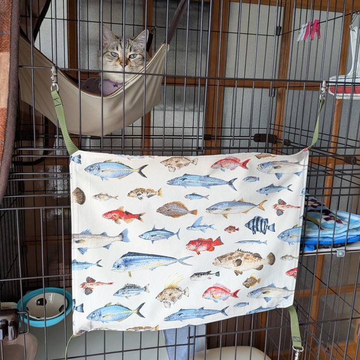 A9ed76ec 4fcd 4b65 aaae acde2aa4dfd1 1749278731974