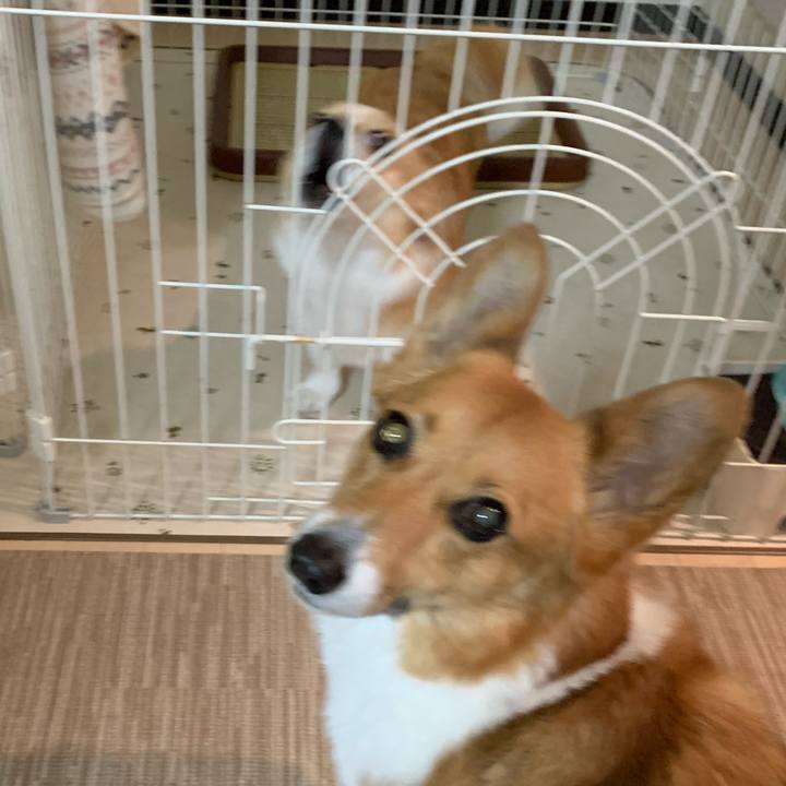 A9ed7762 f886 410e 87ff c4c19e09b680 1584792000901