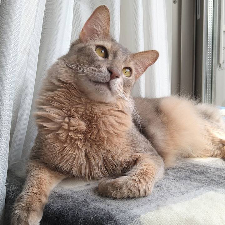 A9ed7a0a 07b9 4d12 b6b7 0409a19b338d 1617681925628