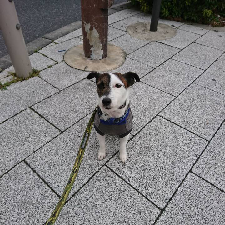 A9ed8591 58e1 4467 a790 99e63570d07e 1520373790635