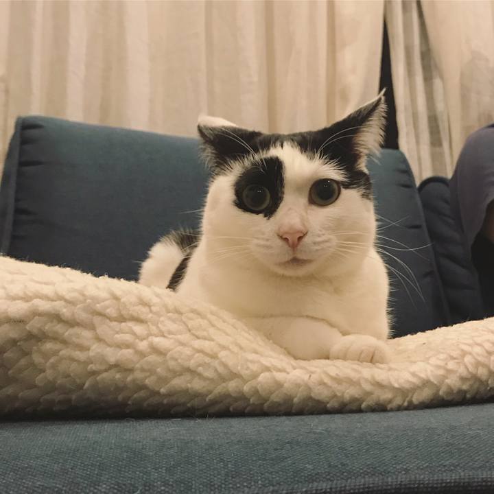 A9edec7b 41df 49da b268 c6f3511b6910 1511525928138