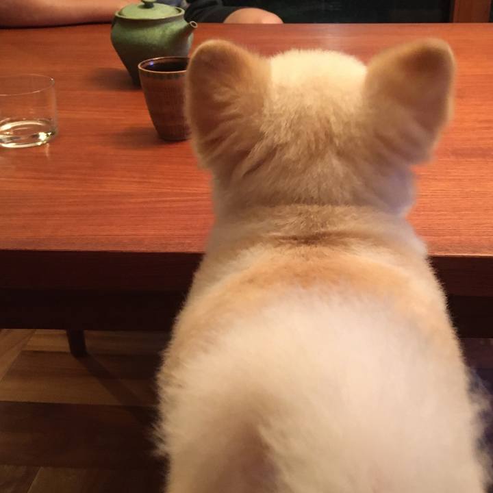 A9ee2981 4d65 45ac 93c8 f27820d1975d 1595759744392