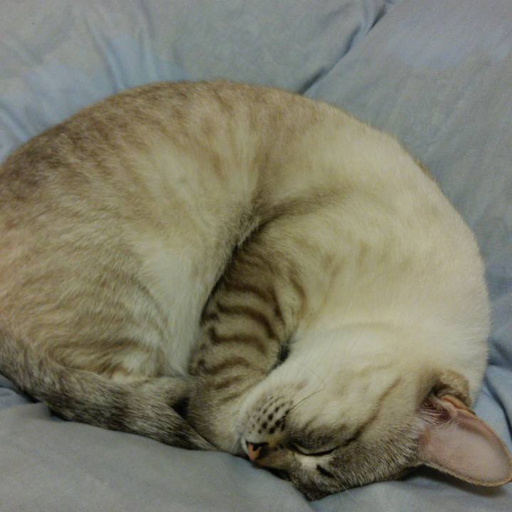 A9ee2b20 6940 4c91 9bcb a8b7bbafa1da 1511792427464