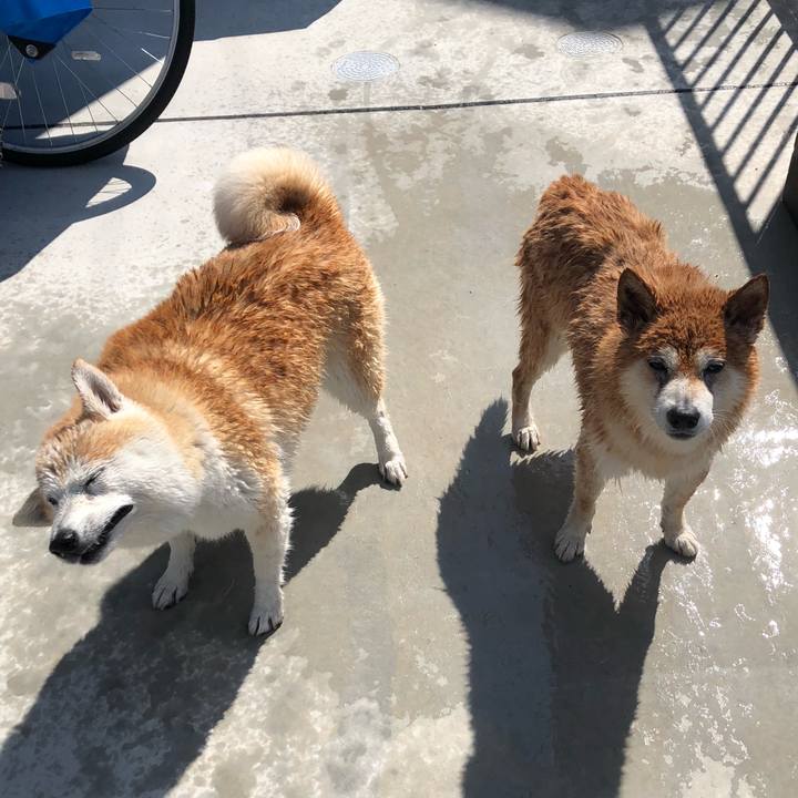 A9ee3cd4 ada5 4e7f ae04 360a0ee20df4 1535853151162