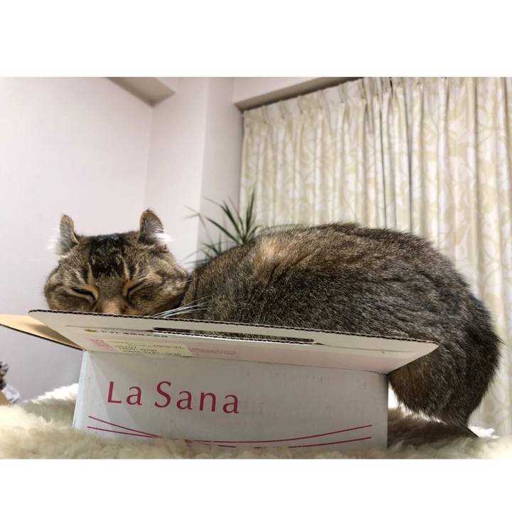 A9ee3e5c 10c1 4653 9cc8 f3d3643ee193 1620393503450