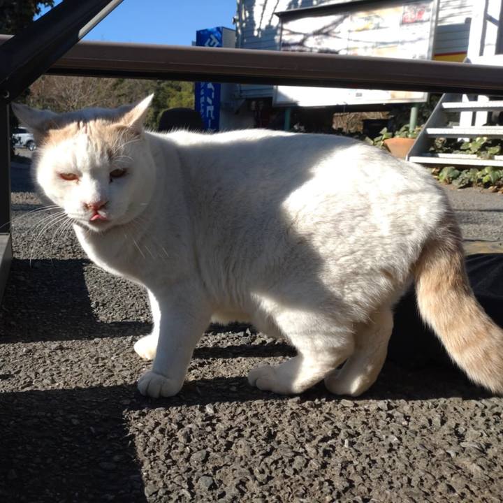 A9ee729e 7bb5 453e 9681 99f2f199c76d 1764900010720