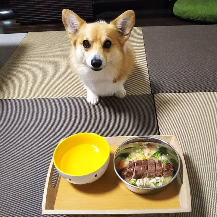 A9ee869e 9b15 4eb8 8f66 99ba783e18f2 1563190104009