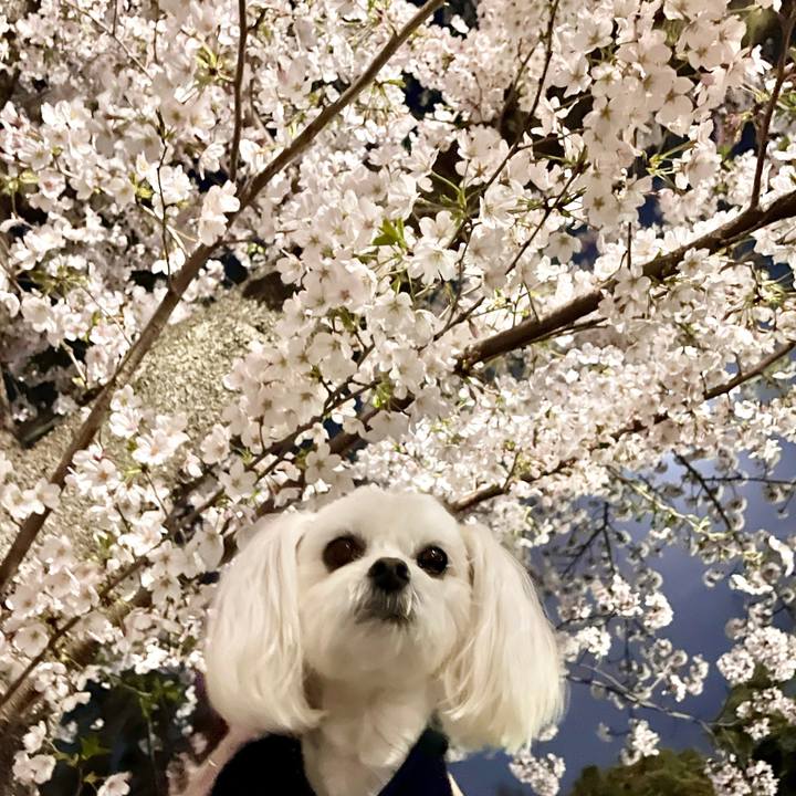 A9eeb91d cc4b 45cc 814d 47403fbac8b3 1617361330561