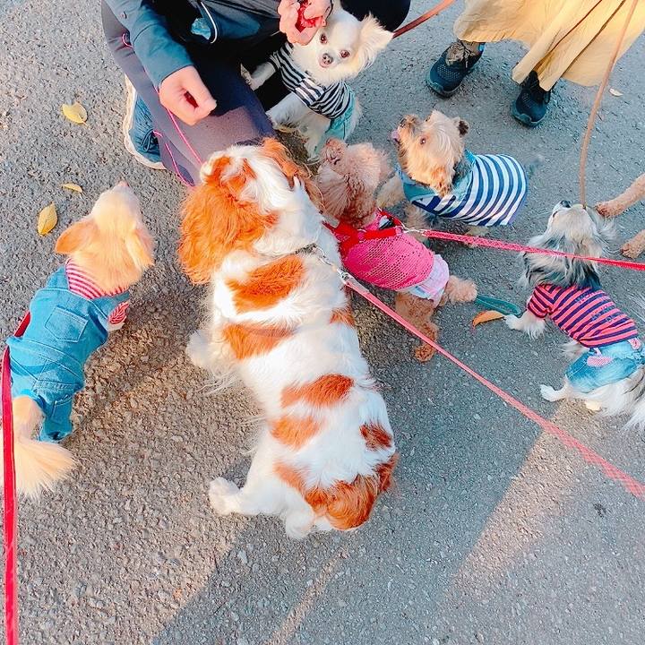 A9eed08a 6d87 41dd 91c7 2174f65ba986 1632747658612