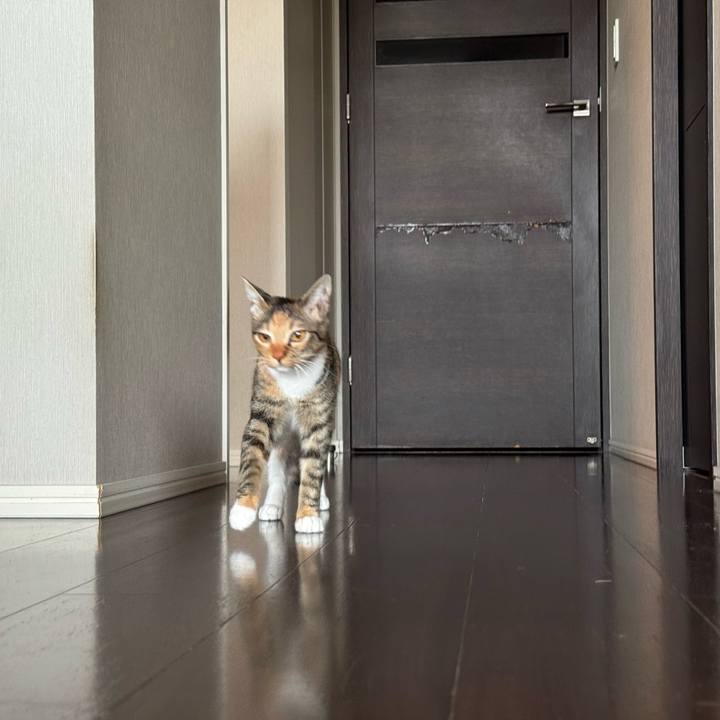 A9eed118 c327 46f2 b12b 0691ce6c783b 1774053608244