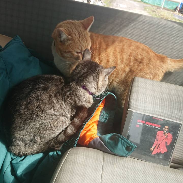 A9eed596 bfe3 42ef 83f7 c18b0545817f 1583032823739