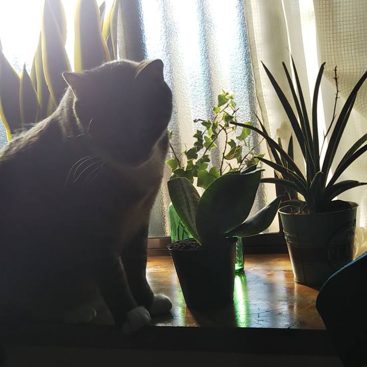 A9eedf4a ff21 4647 9f88 025cbc35ab8f 1636090678271