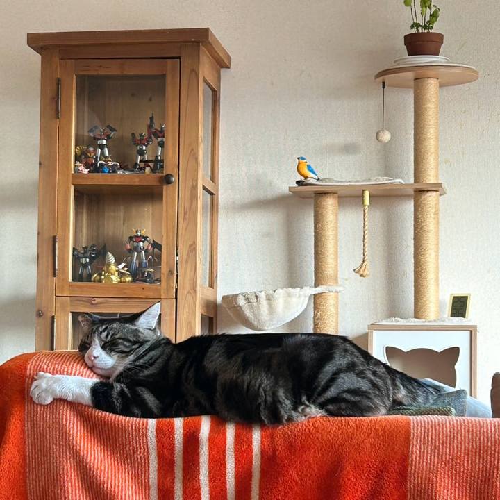 A9ef2f08 c447 4639 a19b 7a80e969ea00 1772263232299