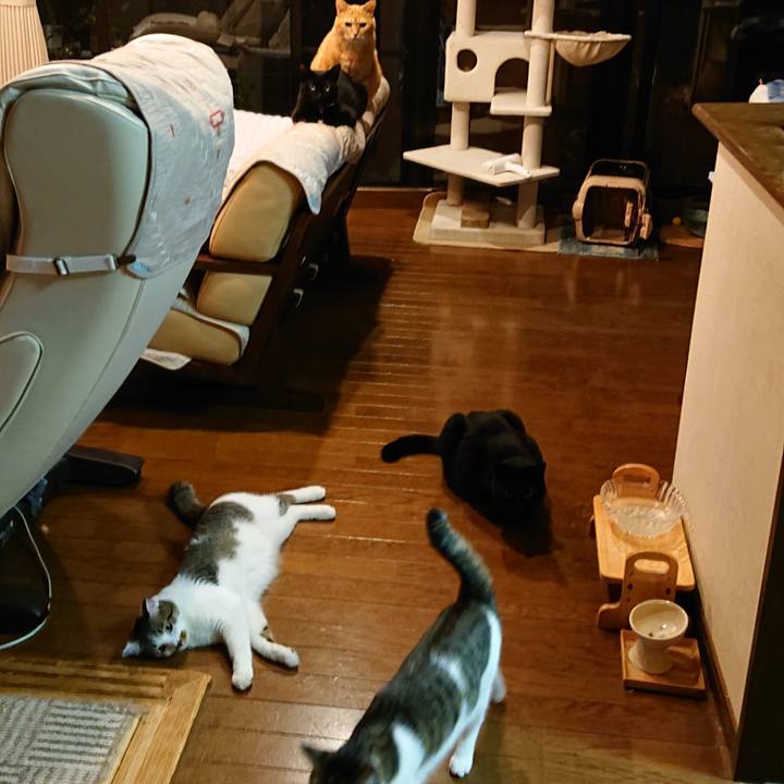 A9ef3624 fad4 4d97 a920 3cf618a817f6 1563722585994