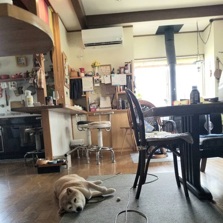 A9ef3cd1 42ba 4ae7 bf12 716505dd11cf 1690515698497